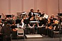 IMG_5348.JPG