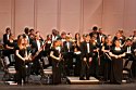 IMG_5453.JPG
