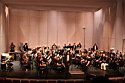 IMG_5982.JPG