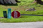 8212.jpg