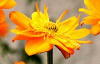 IMG_4132B.jpg