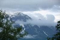 IMG_4575.JPG