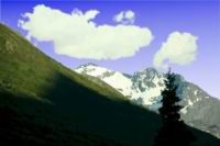 IMG_5074.jpg
