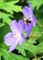 IMG_5743.JPG